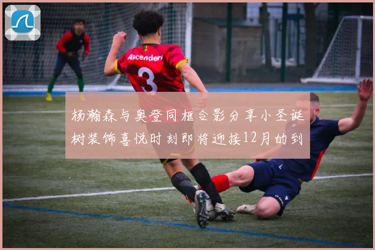 杨瀚森与奥登同框合影分享小圣诞树装饰喜悦时刻即将迎接12月的到来