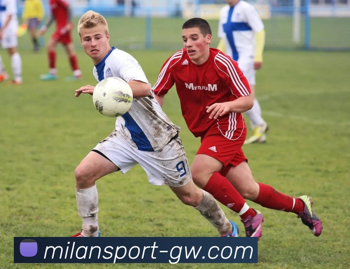 米兰体育平台生态图