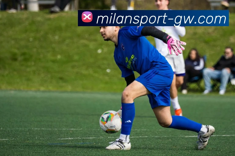 米兰体育APP 封面图